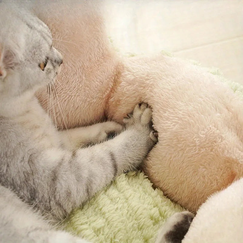 Soft purple or green cactus-themed cat kennel shown in large and small sizes.