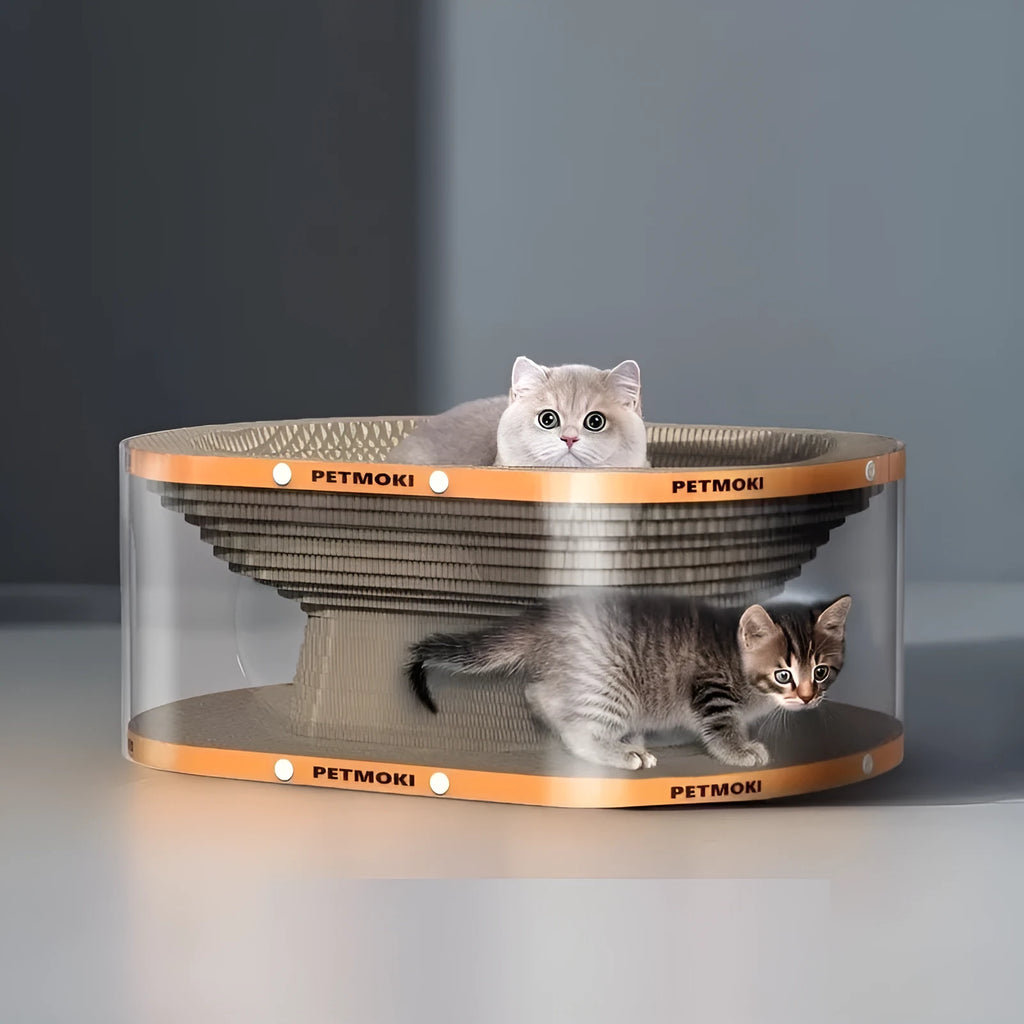 White transparent PVC cat tunnel with diamond pattern and integrated scratch board base