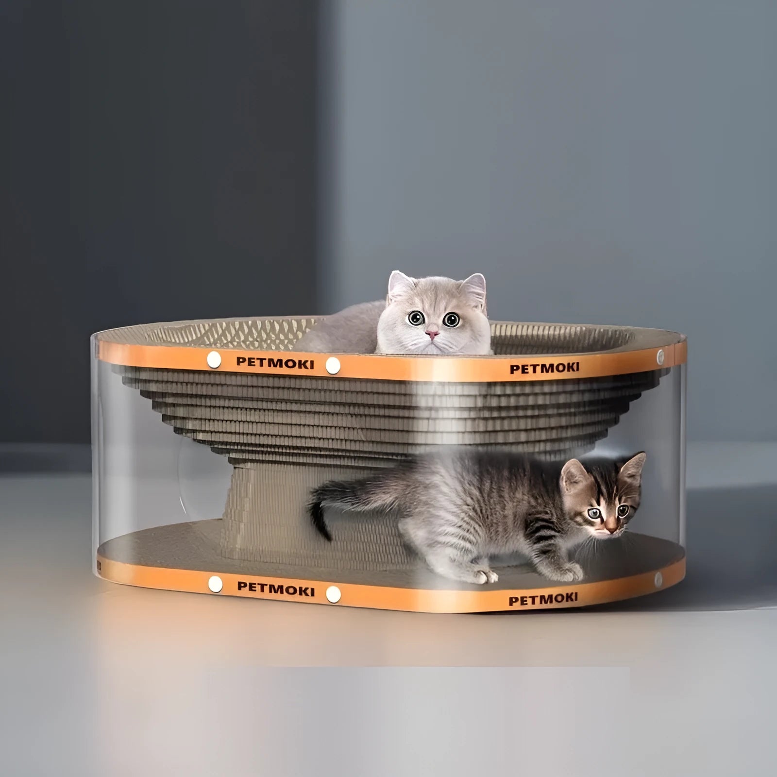White transparent PVC cat tunnel with diamond pattern and integrated scratch board base