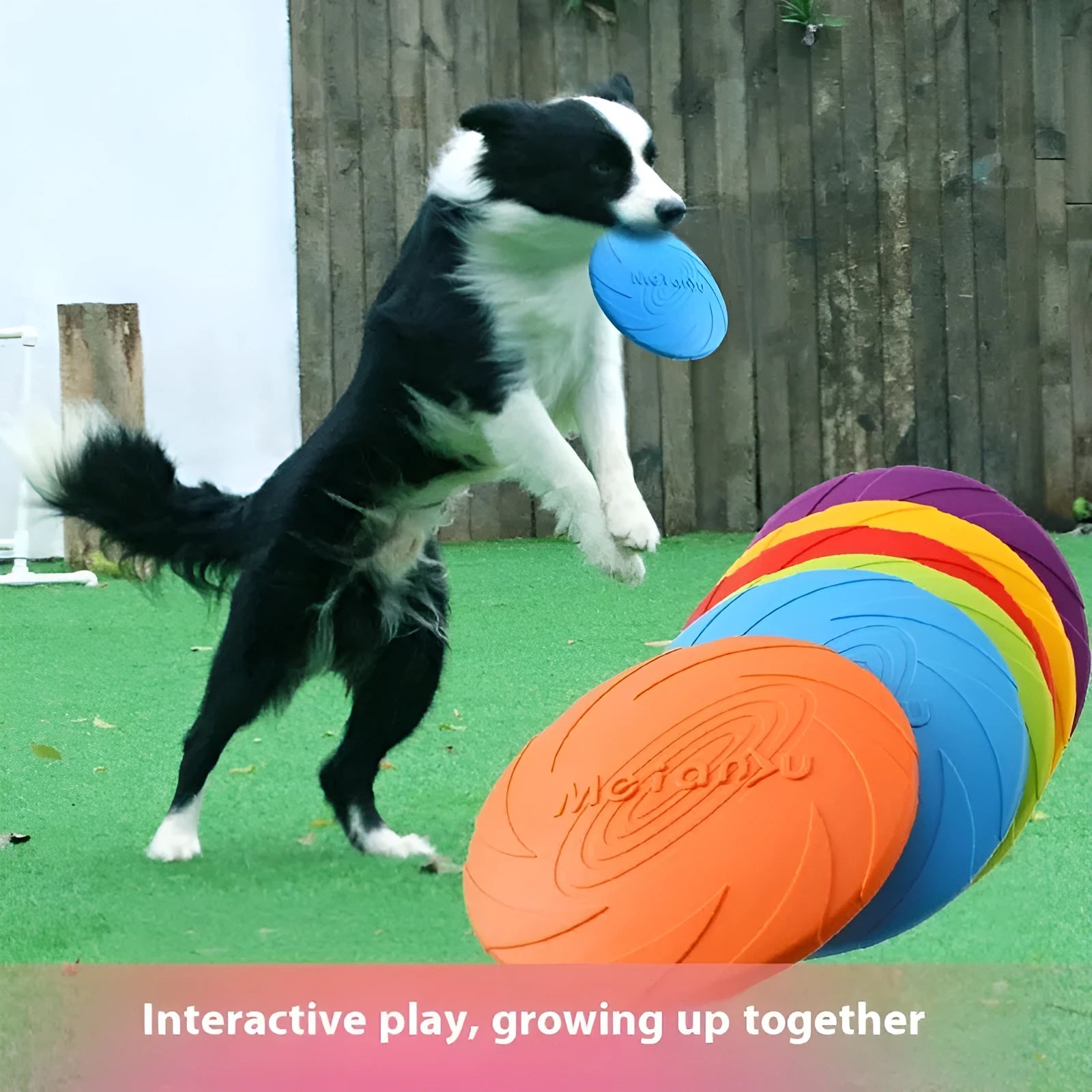 Soft rubber dog flying disc toy in red, blue or green colour for outdoor walking and travel