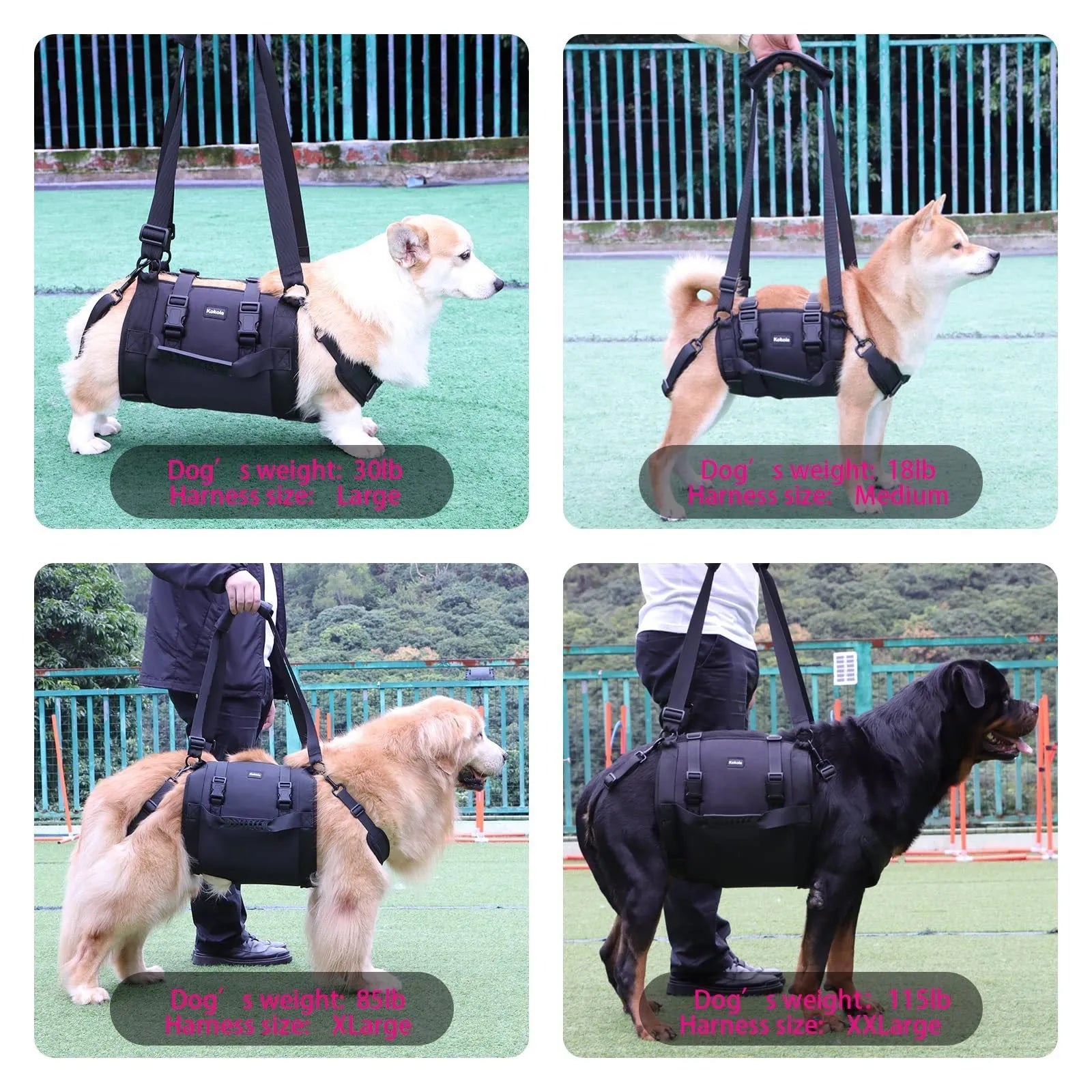 Black oxford cloth dog harness with adjustable chest strap and leg support loops for outdoor use.