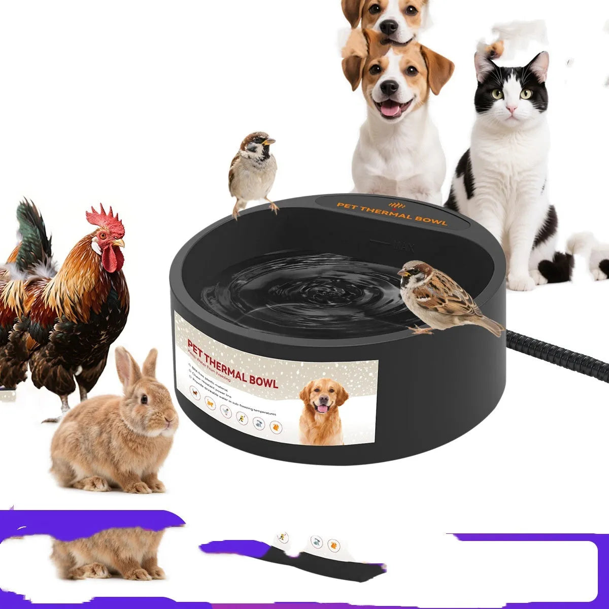 Black ABS plastic pet heating bowl with constant temperature function and 2.2L capacity