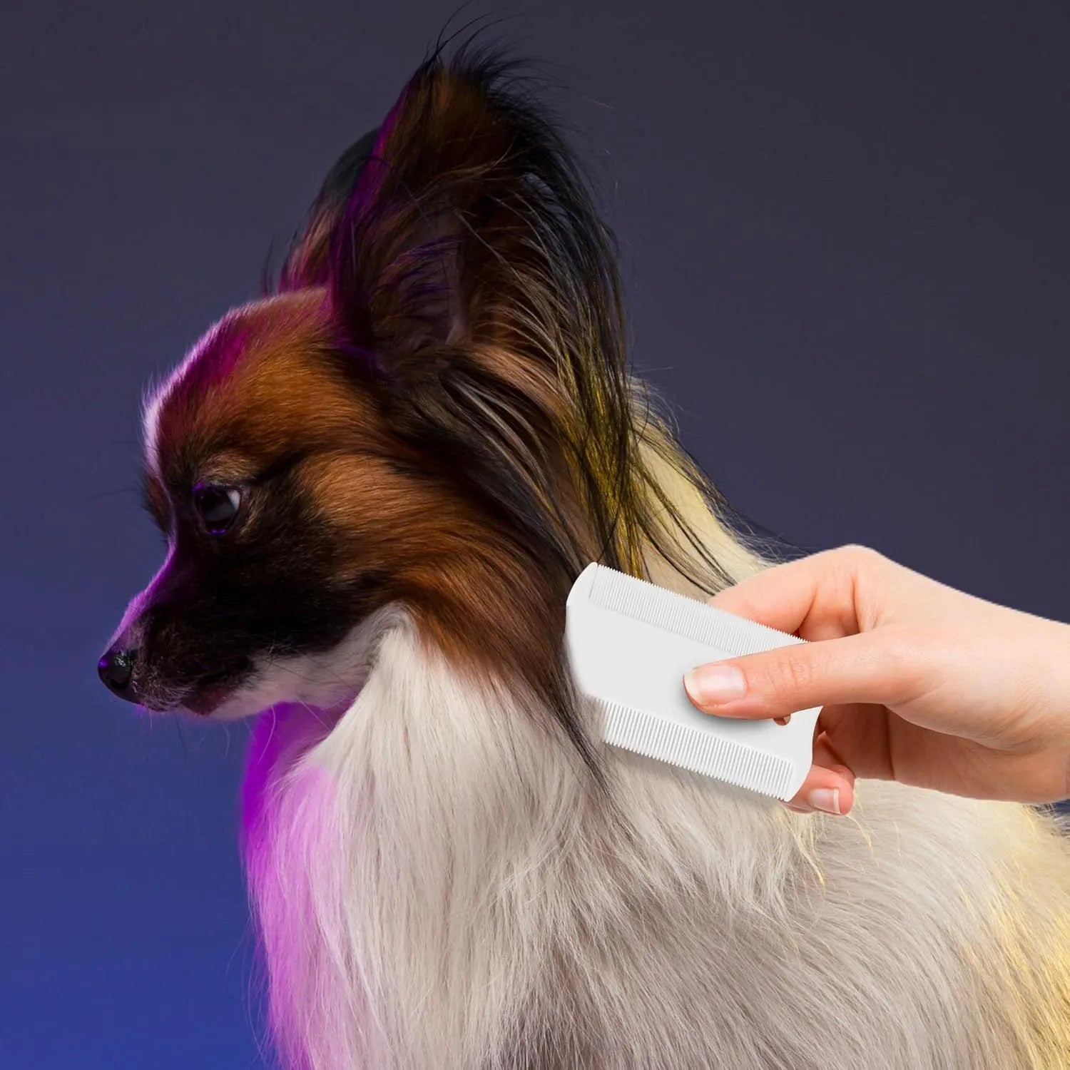 Double-sided plastic flea comb for pets with dense teeth measuring 0.85cm by 5cm